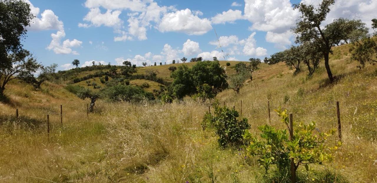 Monte Anna Acomodação com café da manhã Vila Verde de Ficalho Exterior foto