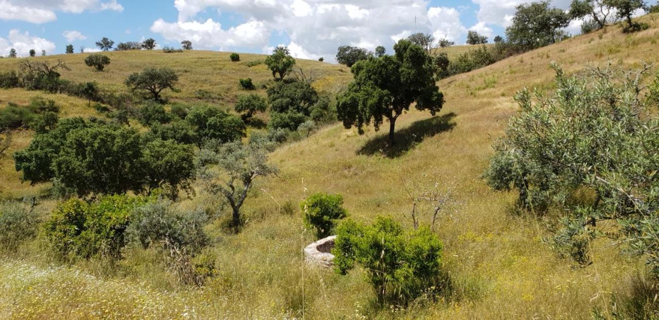 Monte Anna Acomodação com café da manhã Vila Verde de Ficalho Exterior foto